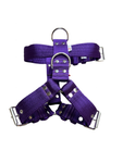 El Perro Colour Extra Strong Harnesses