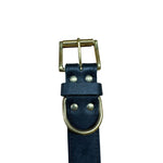 Black Leather Collar Brass 4.5cm Wide