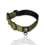 Everyday Dog Collar 3.8cm/1.5" Wide - Various Colours/Size