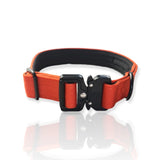 Everyday Dog Collar 2.5cm/1" Wide - Various Colours